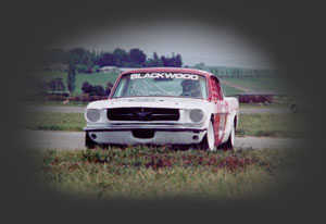 Diesel servicing & American muscle car specialists Diesel servicing & American muscle car specialists